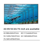 43"~75" Outdoor  Smart TV